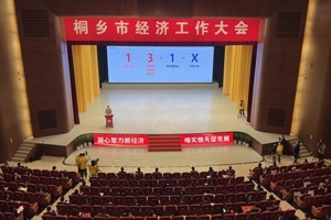 【菊鄉(xiāng)快評】經濟工作大會上，桐鄉(xiāng)市委書記為何重點講巨石的電子布？